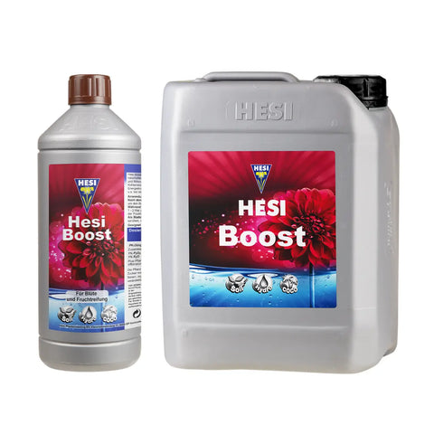 Hesi Boost